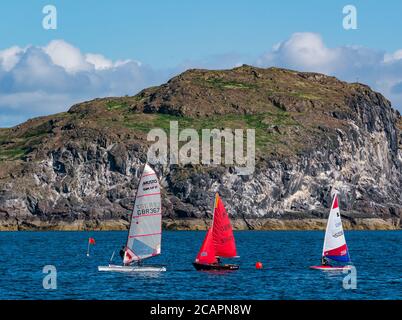 North Berwick, East Lothian, Scotland, 8th August 2020. UK Weather: Perfect day for water sports. A warm sunny day in the Firth of Forth attracts people to take to the water. East Lothian Yacht Club holds a club race with a Musto skiff and topper sailing dinghies sailing past Craigleith Island Stock Photo