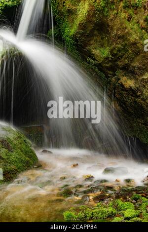 Beautiful waterfall with clear water on a mountain stream in the forest. Breathing of rain forest Stock Photo