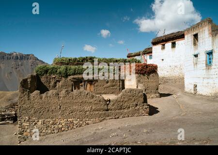 Traditional village houses , mud plastered, with animal fodder on roof  flanked by Himalayas in summer in Komic, Himachal Pradesh, India.