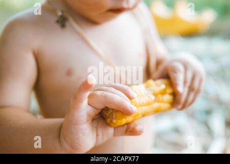 Hands of little baby boy eating corn close-up Stock Photo