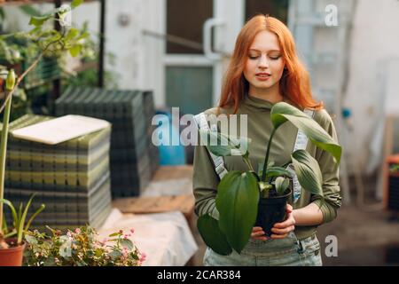 Home gardening concept. Young red haired woman with plant in greenhouse. Stock Photo