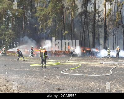 08 August 2020, Bavaria, Schlammersdorf OT Neumühle: Firefighters are putting out a fire in the forest. A field fire on Saturday afternoon in the Schlammersdorf district of Neumühle an der Waldnaab has spread to the adjoining forest. Photo: Masching/vifogra/dpa Stock Photo