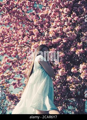 Portrait of young beautiful woman posing among blooming sakura trees. Stock Photo