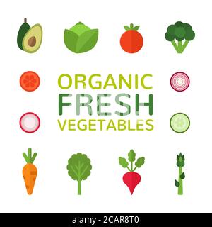 Organic fresh vegetables. Collection of flat vegetables. Healthy food design isolated on white background. Vegan menu. Vector illustration. Stock Vector