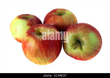 Four fresh wet red apples isolated on white background. Stock Photo