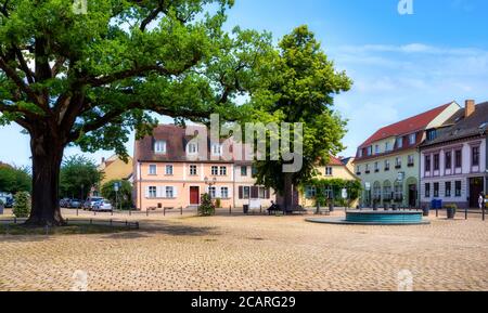 Market place in the idyllic city of Werder an der Havel, Potsdam, Germany Stock Photo