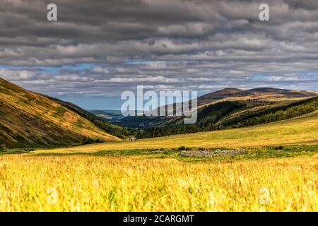 College Valley, Northumberland Stock Photo