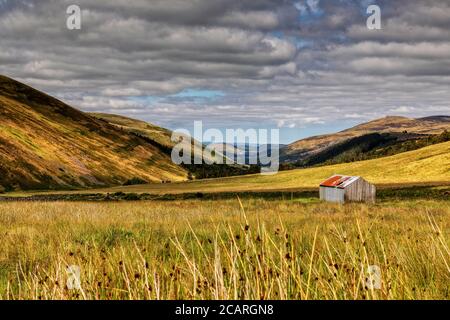 College Valley, Northumberland Stock Photo