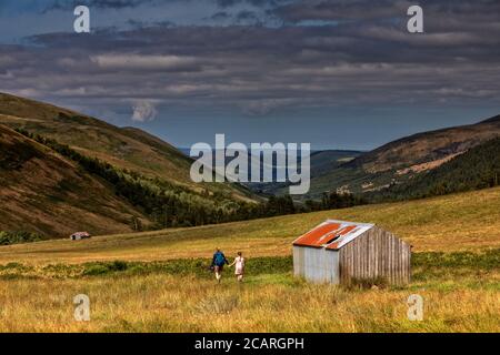 College Valley, Northumberland Stock Photo