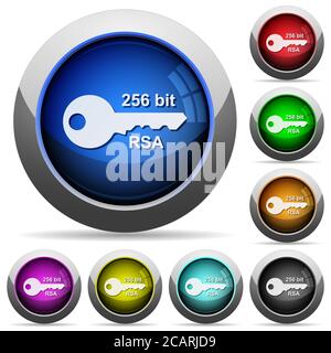 256 bit rsa encryption icons in round glossy buttons with steel frames Stock Vector