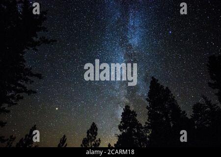 Infinite starry sky with milky way in a Washington state forest with Mars in the distance. Stock Photo