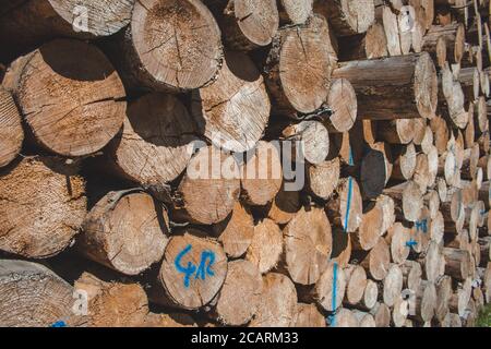 Pile of natural wood logs. Background of wooden texture Stock Photo