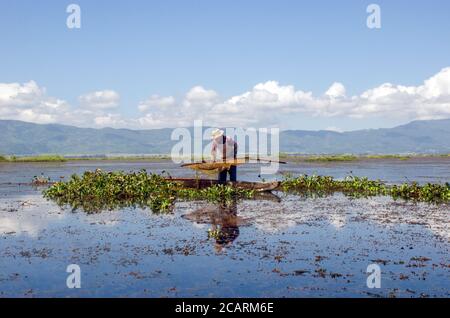 loktak lake imphal manipur india on november 1st 2018:An elderly fisherman is fishing in Loktak Lake, Manipur. Stock Photo