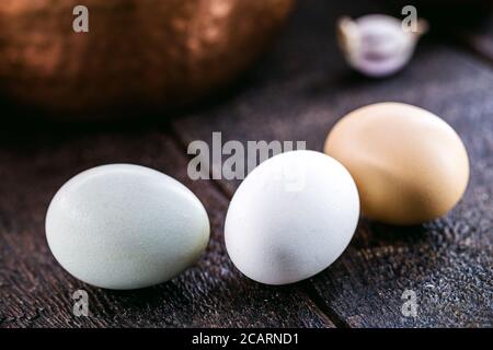 Brazilian free-range eggs, natural free-range eggs from Minas Gerais Stock Photo