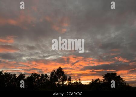 Glorious orange sunset lower strato cumulos rainy layer against and beneath higher altostratus grey clouds and tree line horizon Stock Photo
