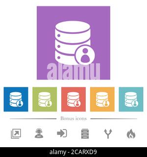 Database privileges flat white icons in square backgrounds. 6 bonus icons included. Stock Vector