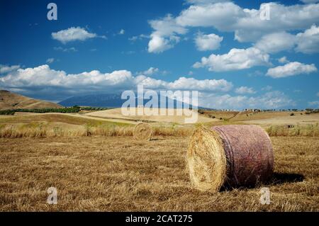 rural landscape of Sicily in summer with round hay bales and abandoned building on a hill below blue sky and white clouds