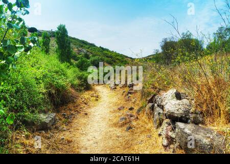dirt path in Sardinian countryside, Italy