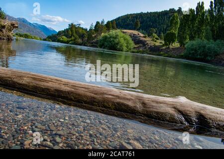 Dead tree in the water Stock Photo