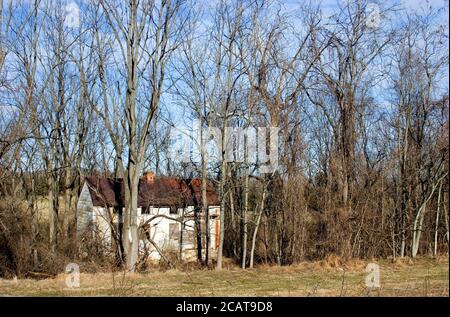 An abandoned house in the woods. Stock Photo