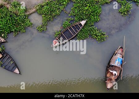 A fisherman seen trying to catch some fish. In the delta of rivers Ganga (Padma), Brahmaputra and Meghna people live on the water. Stock Photo