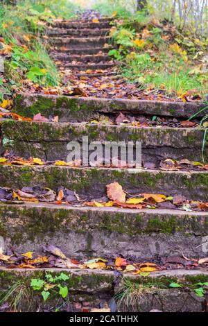 Stair on a footpath with autumn leaves Stock Photo