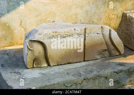 Egypt, Nile Delta, Tanis, artifacts displayed near the mission house : Sunk relief. Stock Photo