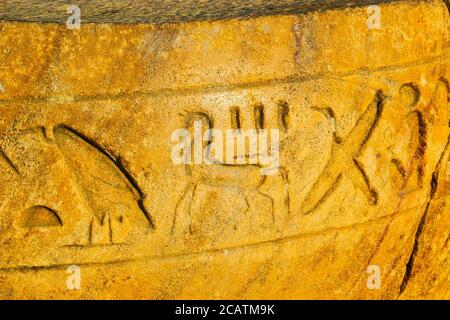 Egypt, Nile Delta, Tanis, artifacts displayed near the mission house : Part of a column, with hieroglyphs, including the sign of a horse. Stock Photo