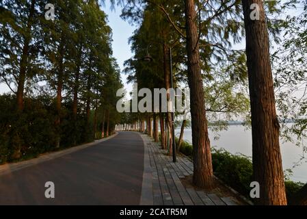 Causeways in East Lake, Wuhan, China Stock Photo