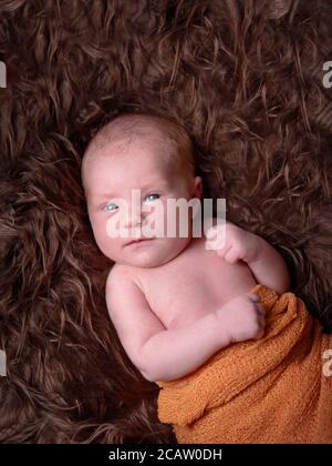 small newborn baby looks at the camera for nine days Stock Photo