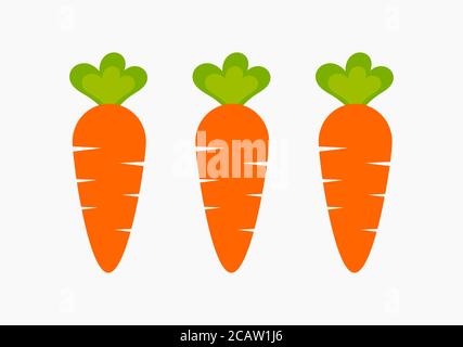 Three healthy carrots from vegetable garden. Raw food diet vector. Stock Vector