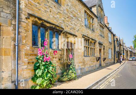 Close-up view of pink to red hollyhocks (Alcea rosea) growing against a wall outside a cottage in Chipping Campden, a market town in the Cotswolds Stock Photo