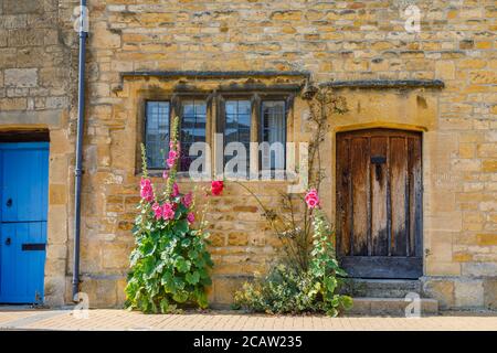 Wooden front door and stone mullioned windows of a cottage with pink to red hollyhocks growing by a wall in Chipping Campden in the Cotswolds Stock Photo