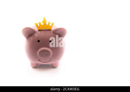 Pink piggy bank with golden crown isolated over white background with copy space, cash is king concept image