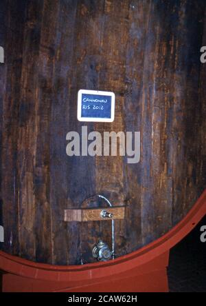 Alghero, Sardinia, Italy. The Sella & Mosca Vineyard (scanned from Fujichrome Velvia) Stock Photo