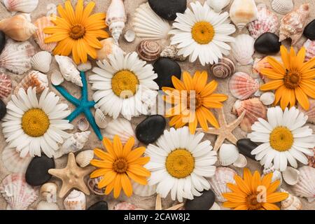 Beautiful background of daisies, seashells, starfishes and black stones on the sand. View from above Stock Photo