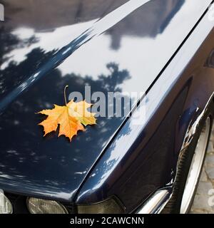 Fallen yellow maple leaf lying on car hood. Autumn season Stock Photo