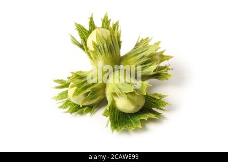 Bunch of hazelnuts close up isolated on white background Stock Photo