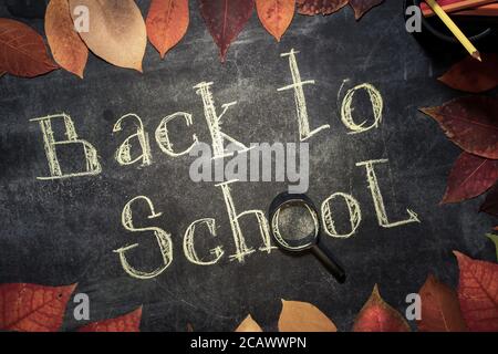 Back to school concept. Top view banner frame of autumn leaves. hand-written chalk on the blackboard Stock Photo