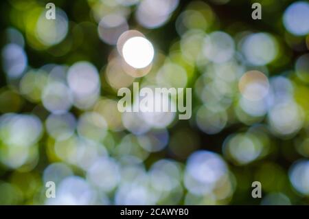 Beautiful blurred natural green bokeh background with bright soft light. Stock Photo