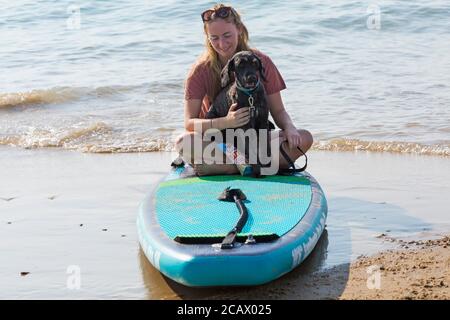 Young woman sitting on paddleboard, paddle board, with cockapoo dog sitting on her lap at Poole, Dorset, UK on hot sunny day in August Stock Photo