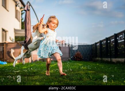 Baby girl running with beagle dog in garden on summer day. Domestic animal with children concept. Stock Photo