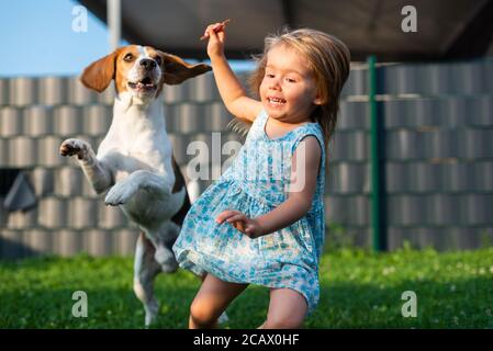 Baby girl running with beagle dog in garden on summer day. Domestic animal with children concept. Stock Photo