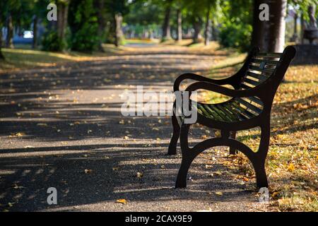 an empty metal memorial bench in a park in late summer Stock Photo