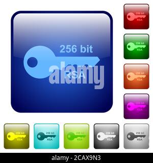 256 bit rsa encryption icons in rounded square color glossy button set Stock Vector