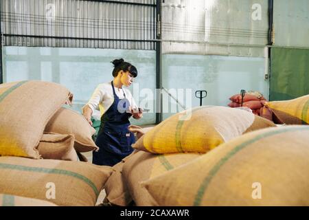 Serious female roastery worker with digital tablet in hands walking long sacks of coffee beans in warehouse and filling document on tablet computer Stock Photo