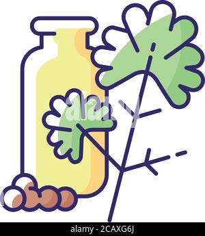 Coriander RGB color icon. Chinese parsley. Cilantro. Herbs and spices. Food flavoring and seasoning. Natural supplement. Traditional indian spices. Is Stock Vector