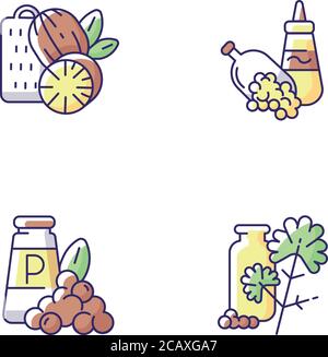 Spicy condiments RGB color icons set. Food seasoning. Natural supplement. Cooking condiment. Mustard and black pepper. Cilantro. Traditional indian sp Stock Vector