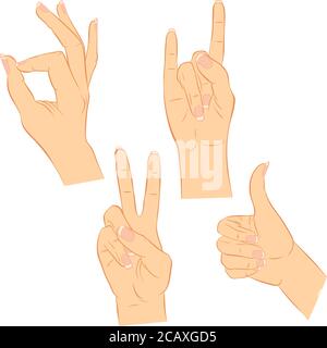 Vector illustration of a female hand with long nails. Various gestures. Set isolated on a white background Stock Vector