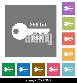 256 bit rsa encryption flat icons on simple color square backgrounds Stock Vector